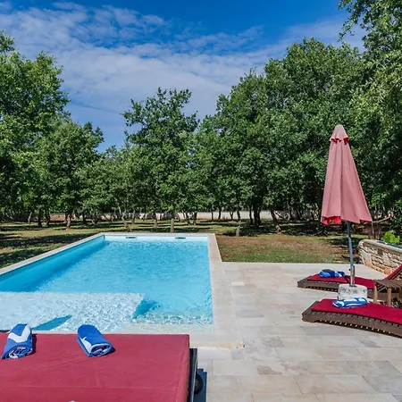 Martinetinka * Divšići